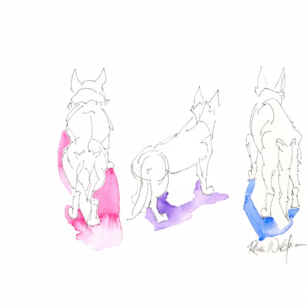 Animal Friends