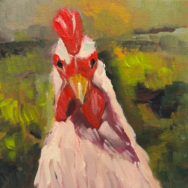 Fur, Fins, and Feathers