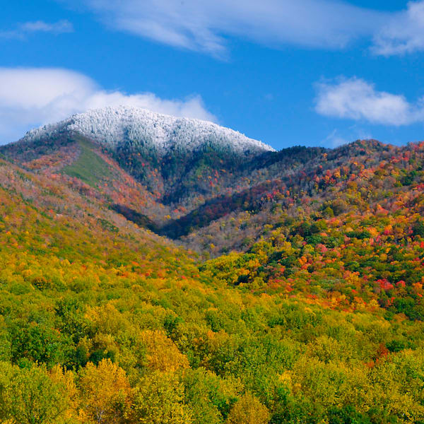 tennessee