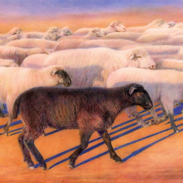 Wildlife & Assorted Critters