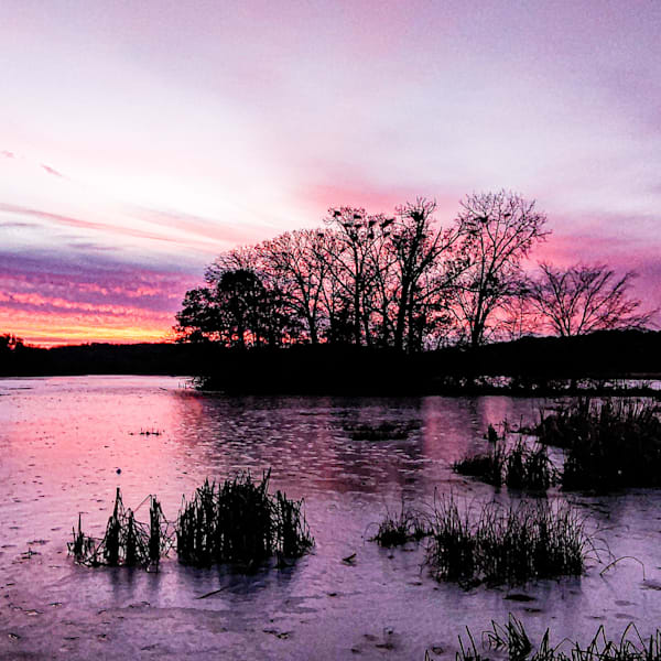 Landscape Photography