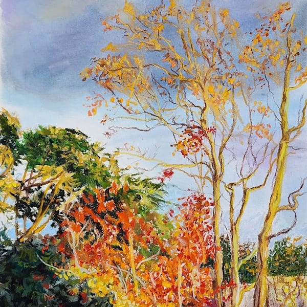 Landscapes & Seascapes, Water scenes