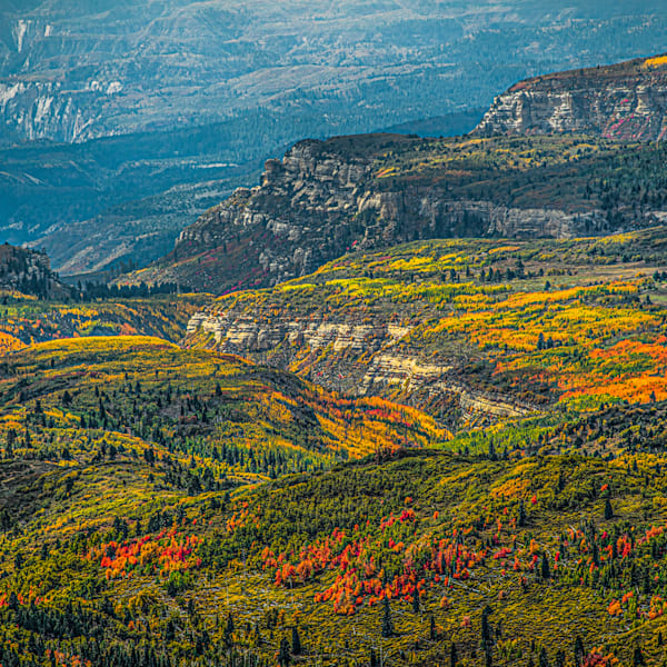 Autumn’s Palette