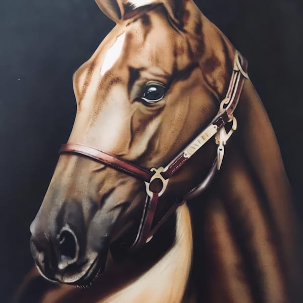 Pet Portraits