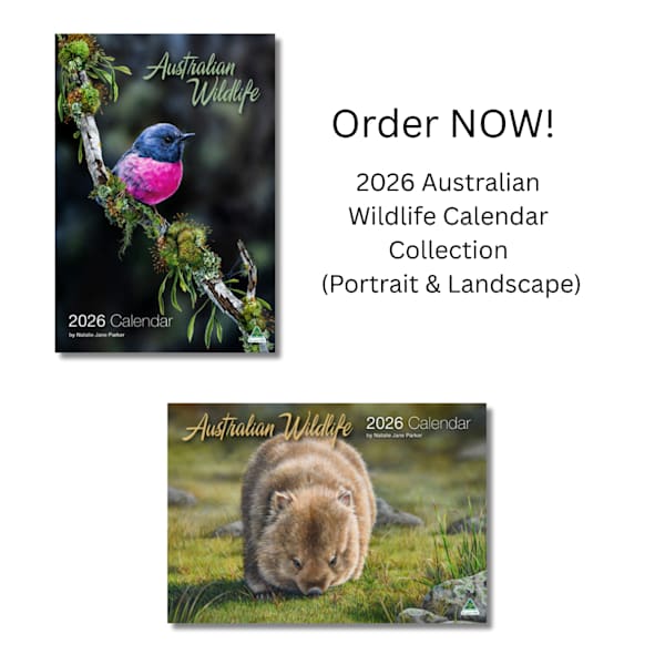 Buy Australian Wildlife Calendars Online