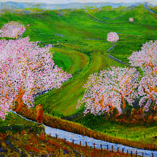 Landscapes