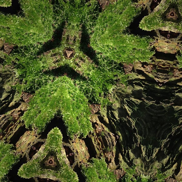 🌿 Stillness, Grounding & Trust