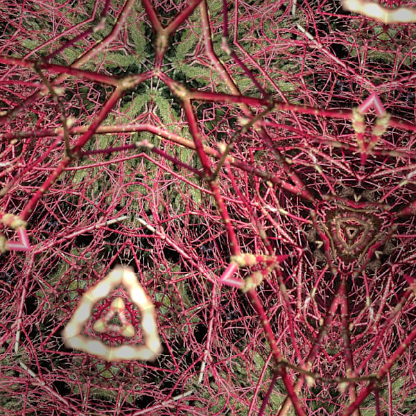 🔥 Vitality, Joy & Sensuality