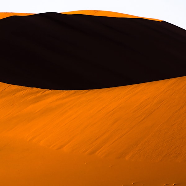 Limited Edition Prints