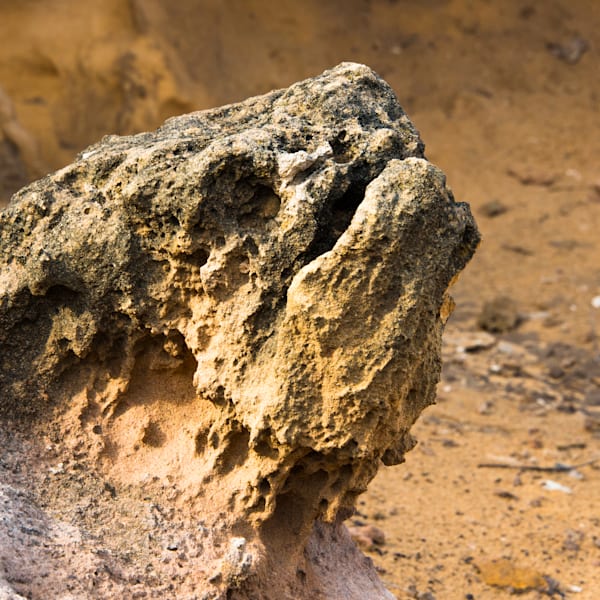 Scenes From The Land and Sea