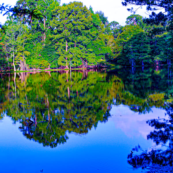 Reflections Martin Dies