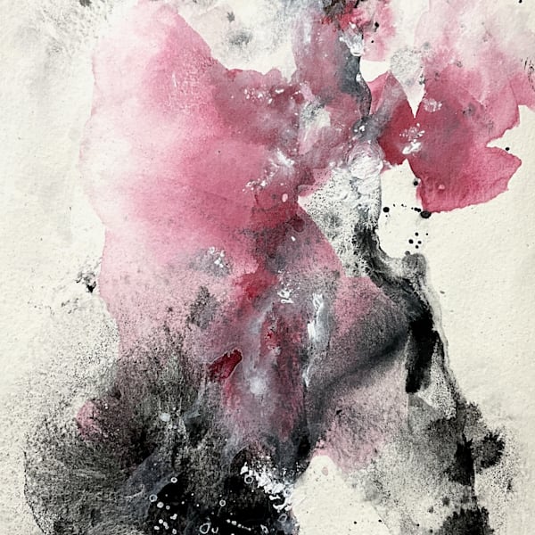 Red and Black Gallery