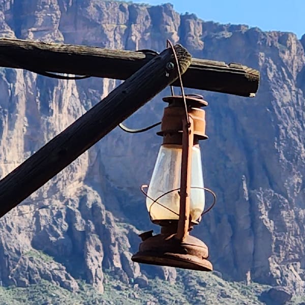 Whispers of the Desert