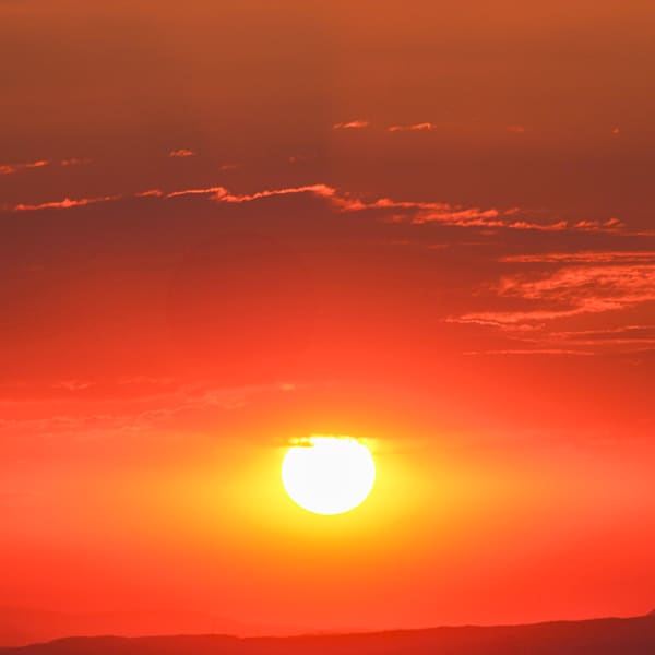 The Beauty That Surrounds Me