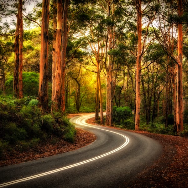 Landscapes - On The Land