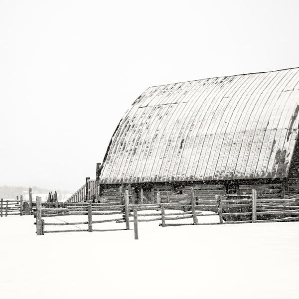 Winter Light - Vault