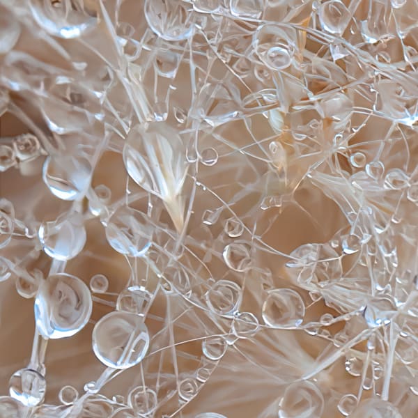 Water Studies  - Vault