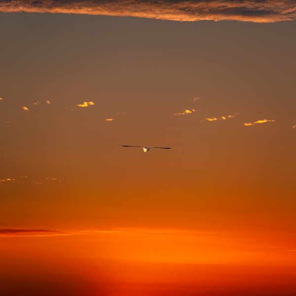 Landscapes - Sunsets & Sunrises