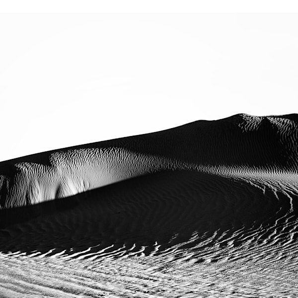 Landscapes - Dunes