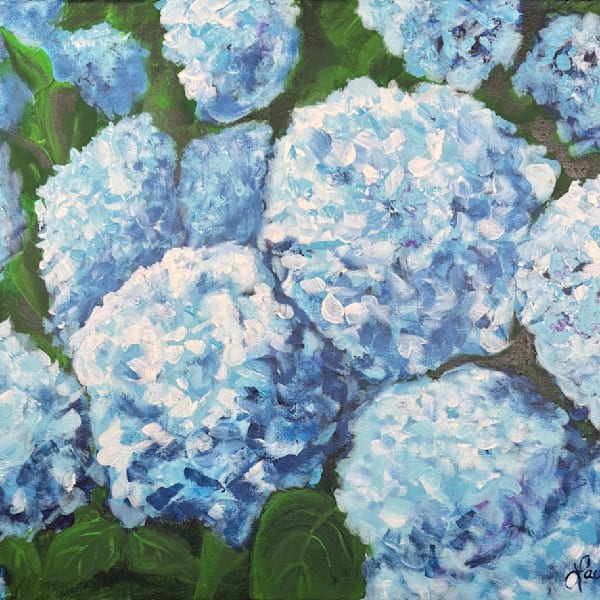 Hydrangeas