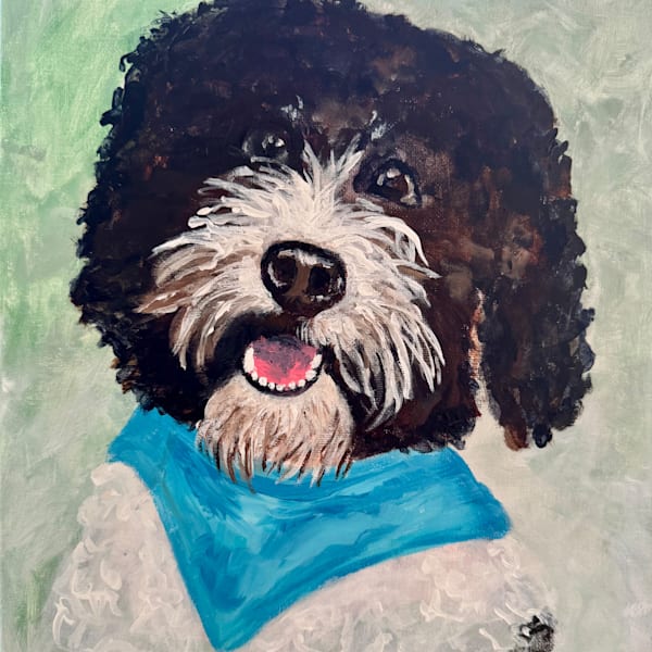 Pet Portraits