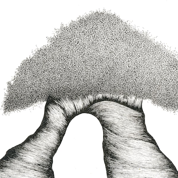 Black and White - Nature