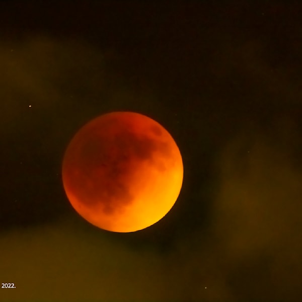 The Time Capsule Gallery