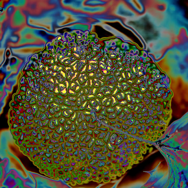 Abstract Exploratory