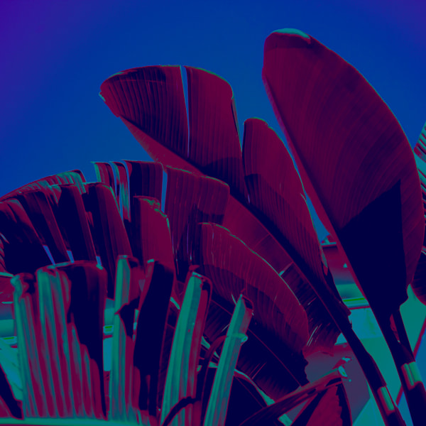 Print on demand - Infrared Photography