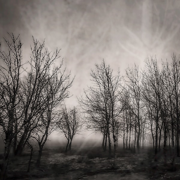 Textured & Layered Photo Art