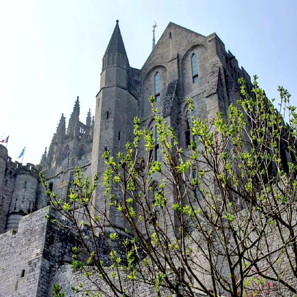 Castles, Coasts & Jungles Abroad