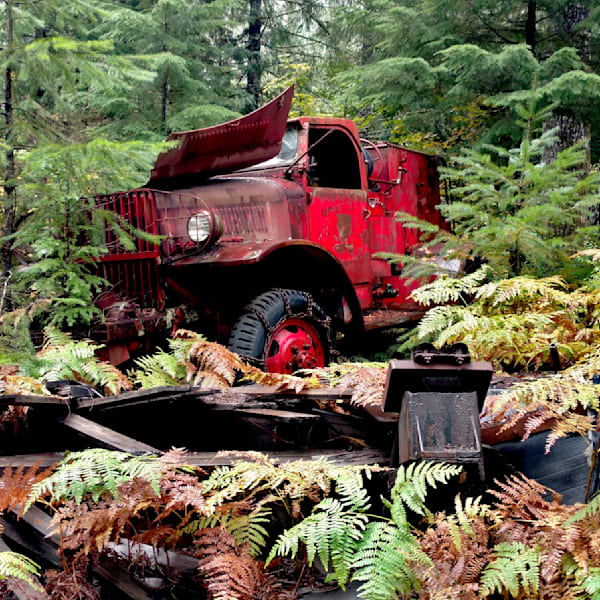 Rustic & Man-Made in Nature