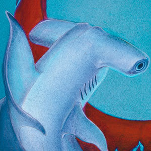 Mermaid-with-Shark-detail-shark-ing4w5
