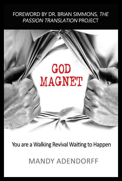 God Magnet a book by Mandy Adendorff