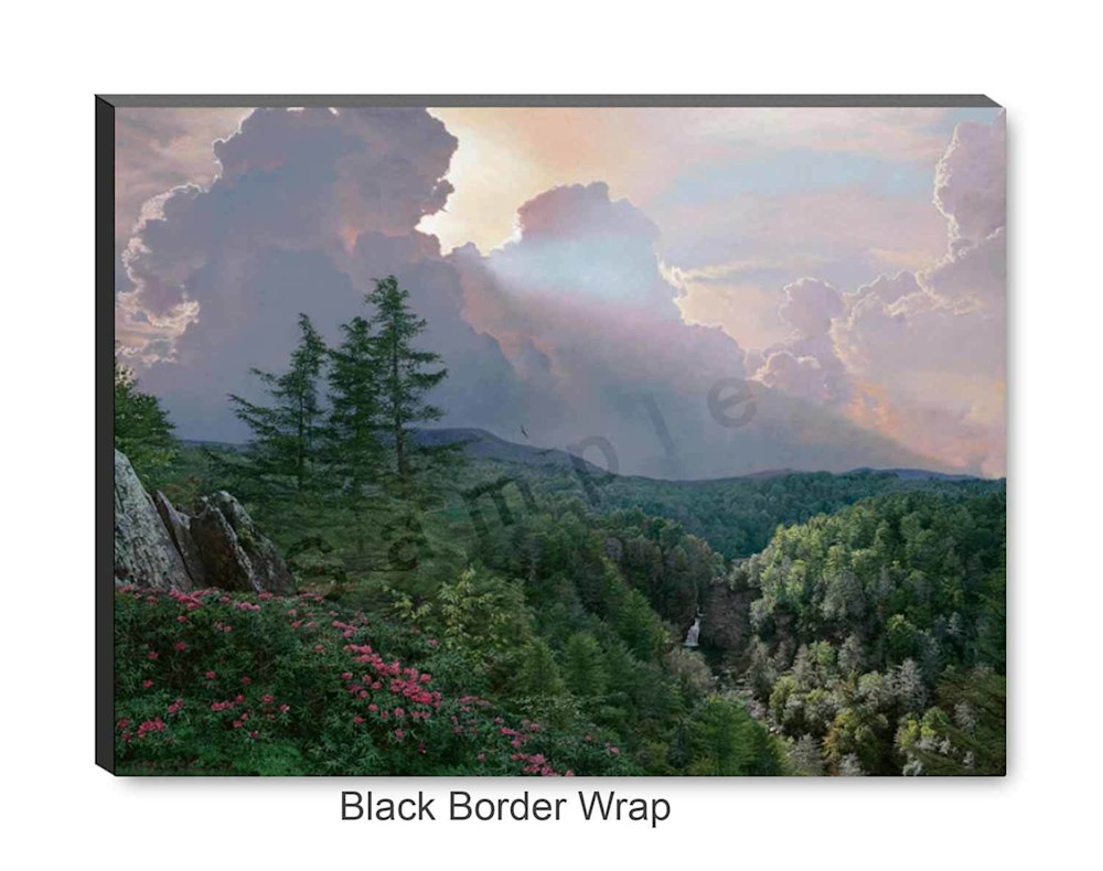 black-border-wrap-m459ao