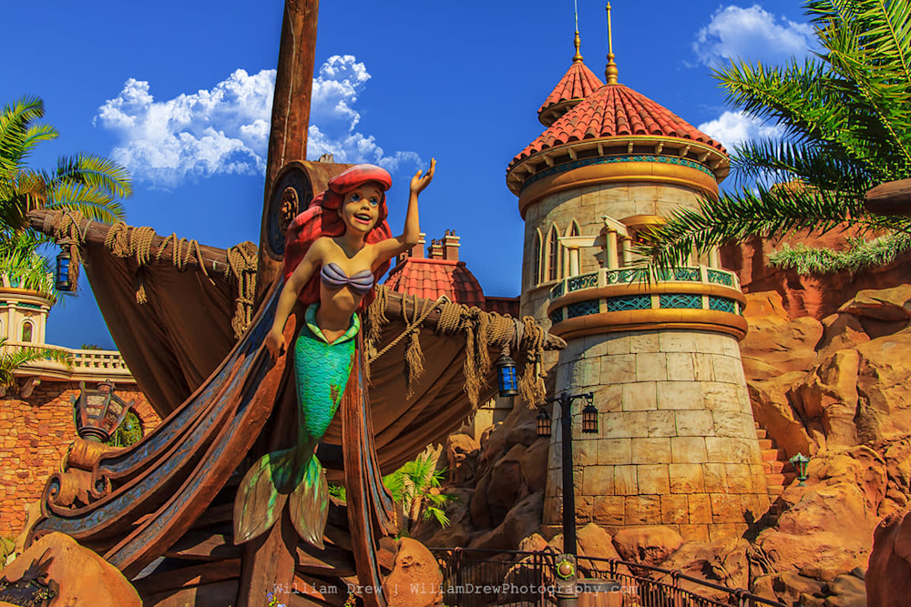 Ariel Little Mermaid Disney Wall Mural | William Drew Photography