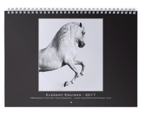Calendar EE CVR