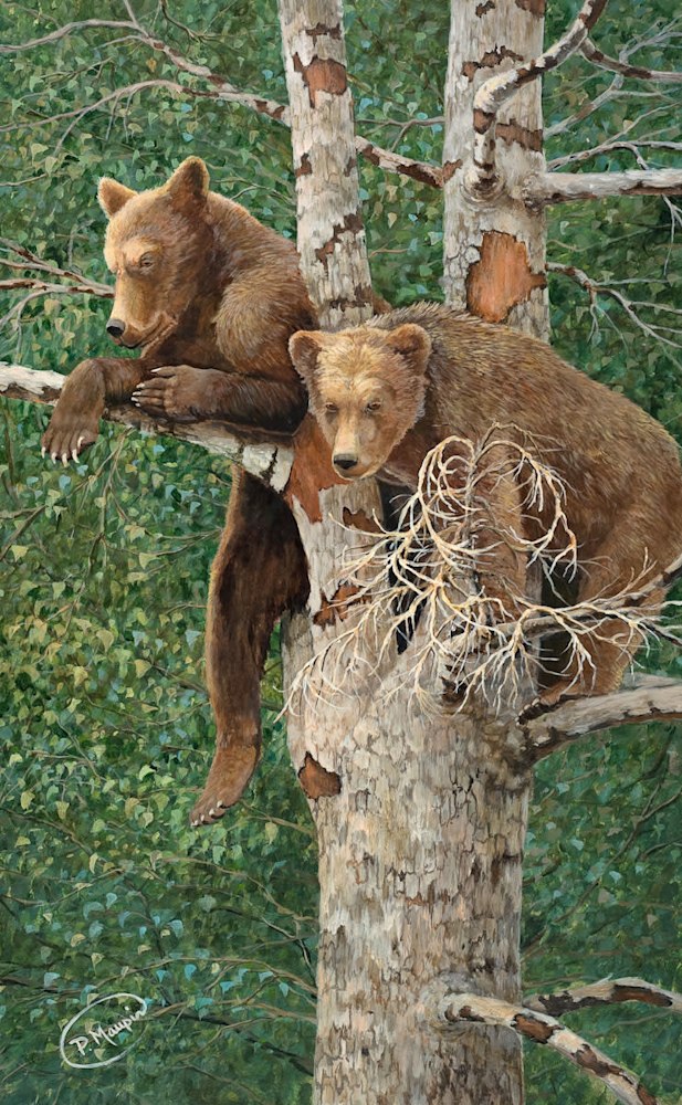 Cubs in Tree lores