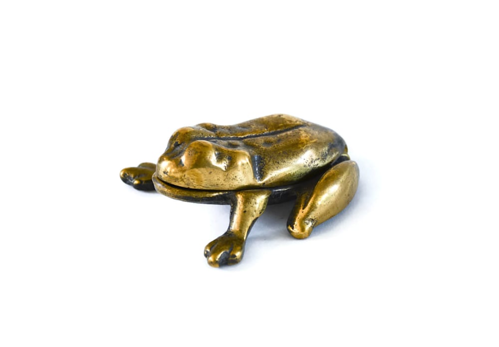 Brass Frog Box 1 of 1