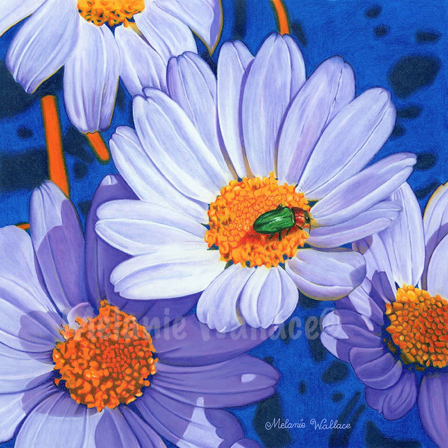 Melanie Wallace Title Crazy About Daisies 2013 CP 1of2Entries