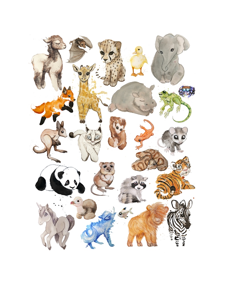 16x A Z Baby Animals On Paper Art Hfa Print Gallery 16x A Z Baby Animals On Paper Art Hfa Print Gallery
