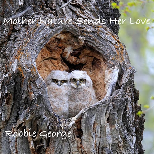 Heart Owls