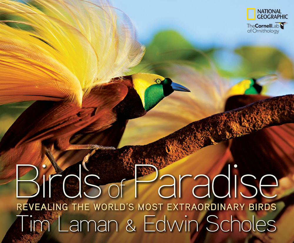 Birds of Paradise Book Cover