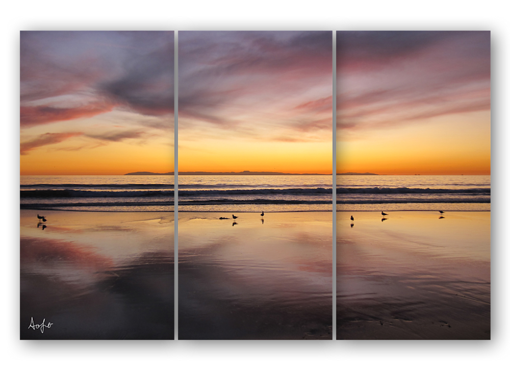 triptych newport sunset