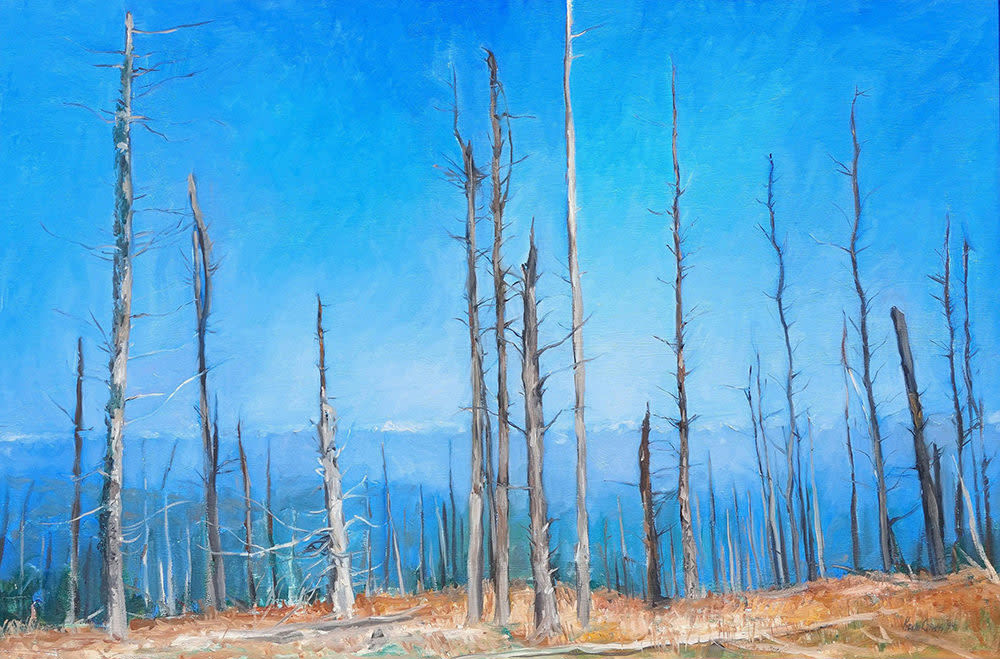 Kevin Grass Atop Mount Mitchell Oil on canvas painting