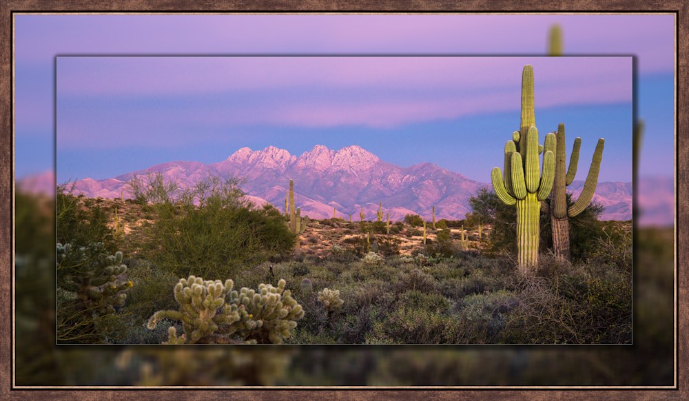 4 Peaks Purple Horz 20x40 to 26x46 Perimeter Bronze Small