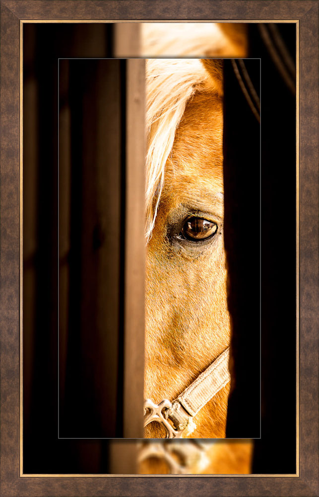 Peek 16x30 to 22x36 Perimeter Bronze Large
