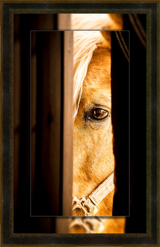 Peek 16x30 to 22x36 Leather