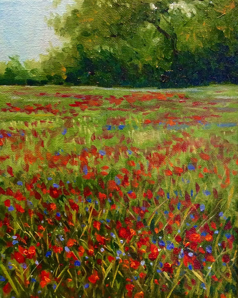 Field of Wild Poppies Original Plein Air Landscape Romantic Art Framed Oil Painting