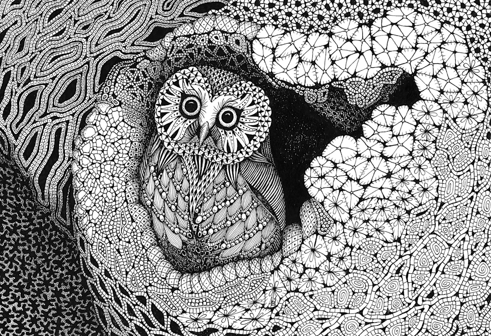 Owl in a Hollow